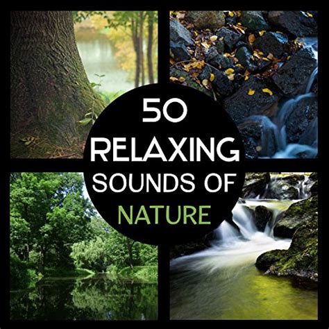 Play 50 Relaxing Sounds of Nature – Sounds of Rain and Waterfall ...