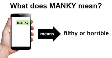 MANKY | What Does MANKY Mean?