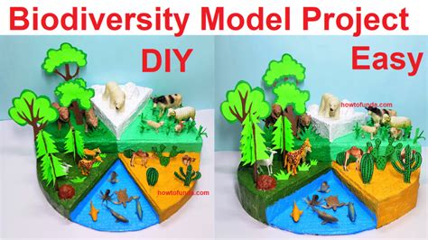 biodiversity model project for science exhibition - Science Projects | Maths TLM | English TLM ...