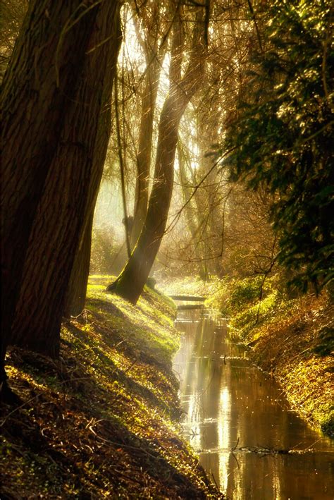 Free Images : landscape, tree, nature, waterfall, hiking, sunlight, leaf, lake, river, stream ...
