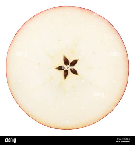 Apple Cut In Half Horizontally