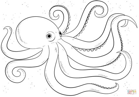 Coloring Page Of Octopus - Coloring Home