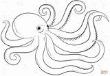 Octopus Printable Coloring Pages sketch template