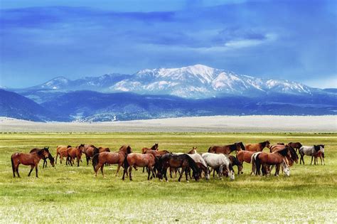 California Dreaming Photograph by Kristy Viera - Fine Art America