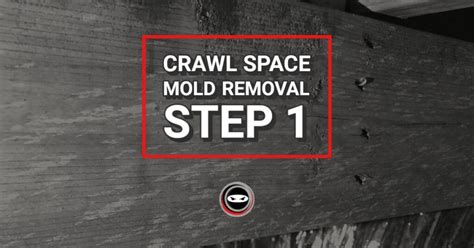 Crawl Space Mold Removal Step 1 | Crawl Space Ninja