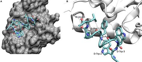 p53-MDM2 Inhibition – D-Peptide Therapeutics