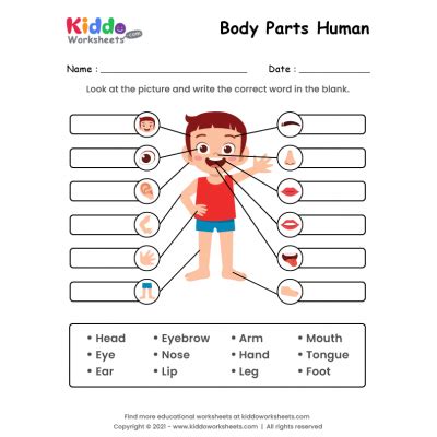 label the body parts worksheet education com - label the body parts ...