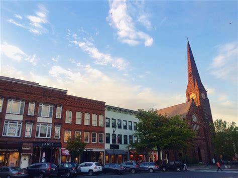 City of Northampton to give away 400 tree seedlings on Arbor Day ...