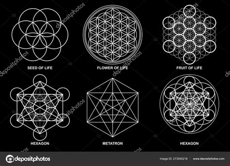 Sacred Geometry Flower Life Seed Life Egg Life Metatron's Cube Stock Vector Image by ©alessan ...