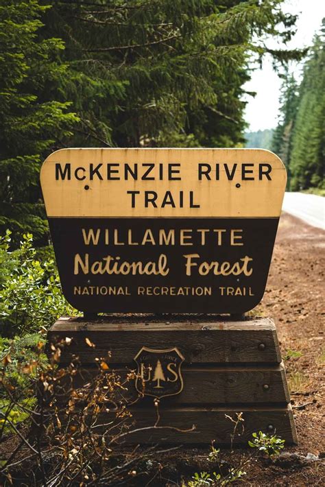 Your Guide To Hiking The McKenzie River Trail | Oregon is for Adventure