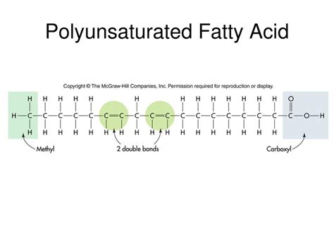 PPT - Chapter 6: Lipids PowerPoint Presentation, free download - ID:6913007