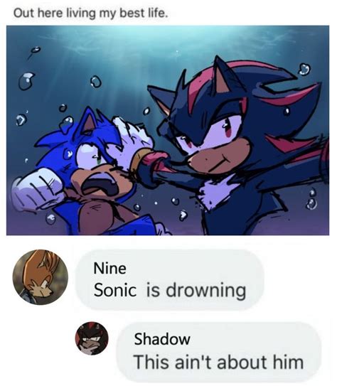 Pin by 𝐌𝐢𝐠𝐡𝐭𝐲 𝐓𝐡𝐞 𝐀𝐦𝐚𝐝? on Idk in 2023 | Sonic funny, Sonic and shadow, Sonic