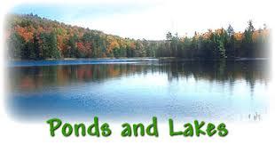 Lakes/Ponds biome - GAGE