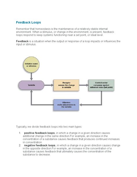 Feedback Loops Notes - very helpfull - Feedback Loops Remember that homeostasis is the ...