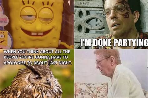 20 hilarious hangover memes that will help get you through a difficult morning - Birmingham Live