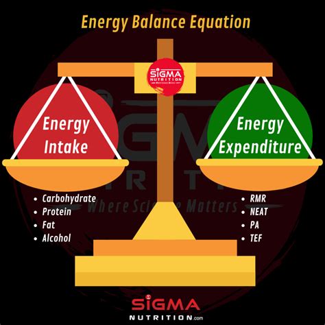 The “Calories In, Calories Out” Confusion: A Comprehensive Guide to Understanding Energy Balance ...