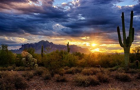 A Sonoran Desert Sunrise Photograph by Saija Lehtonen