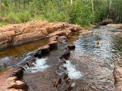 Buley Rockhole (Litchfield National Park): UPDATED 2020 All You Need to ...