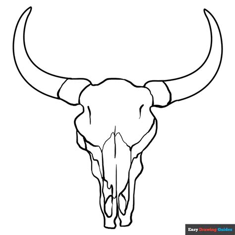 Bull Skull Coloring Page | Easy Drawing Guides