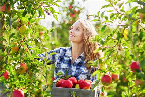 picking-apples-fall-autumn-girl-woman – Your Connection to Wildlife