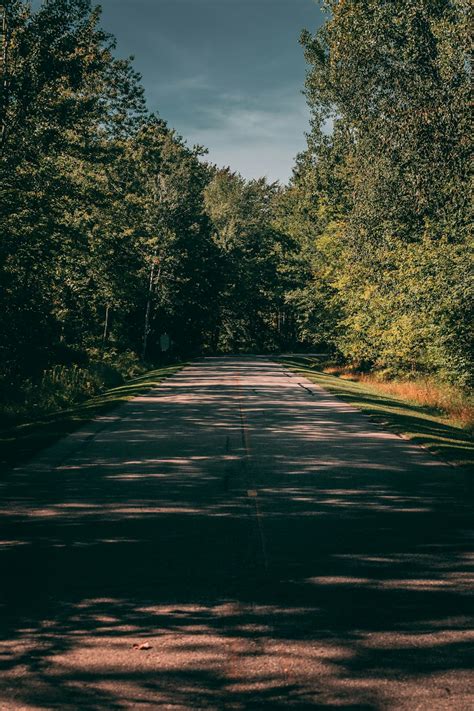 Back Road Pictures | Download Free Images on Unsplash