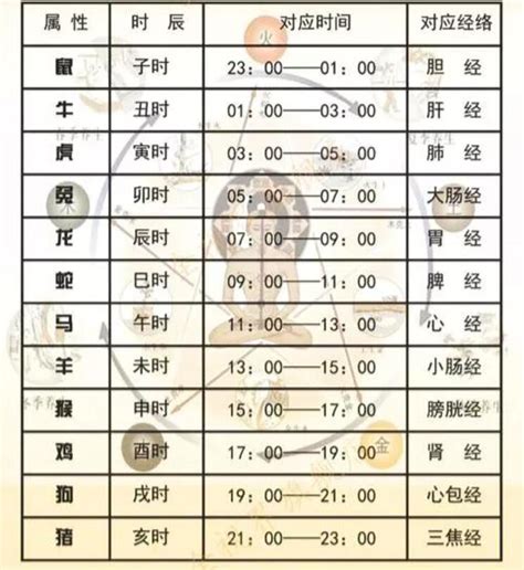 子、辰、卯、酉、午、辰时是几点到几点钟「知识普及」_子辰是几点到几点-CSDN博客