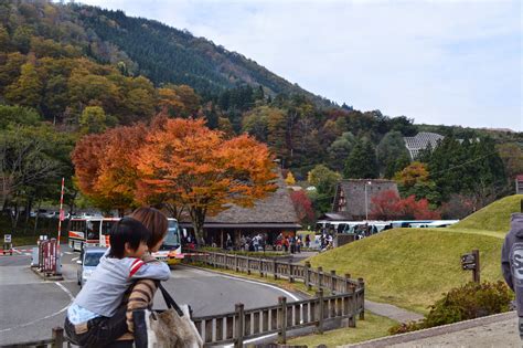 Purple Pen in Japan: Where to See Autumn Colors in Japan