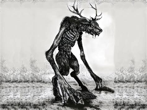 10 Petrifying Details Surrounding The Navajo Skinwalker | Factionary