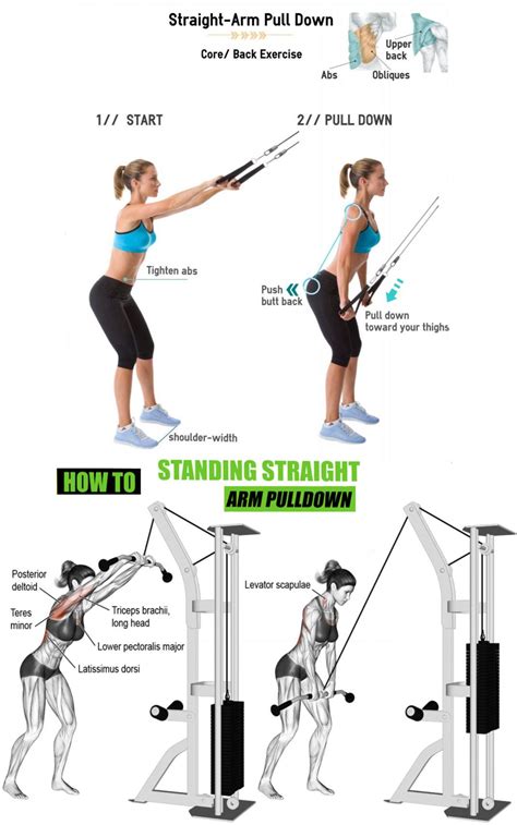 STRAIGHT ARM PULLDOWN | Workout, Exercise, Arm workout