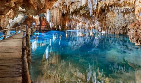 Cenotes Playa del Carmen – Los mejores para visitar - Info Quintana Roo