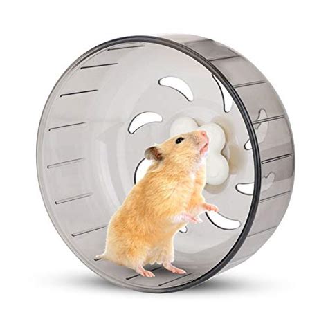 The Most Amazing Gerbil Wheel You've Ever Seen - You Won't Believe What Happens Next!