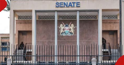 Godfrey Osotsi, Moses Kajwang' Ranked Best Senators as MPs Break For December Recess - Tuko.co.ke