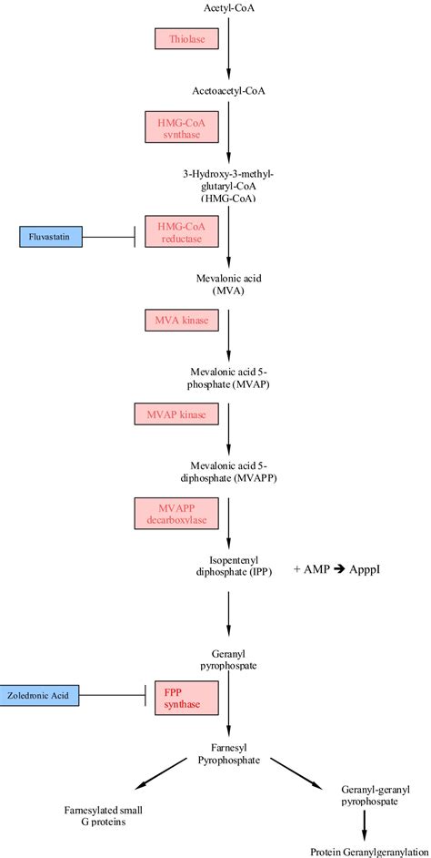 Activity of mevalonate pathway inhibitors against breast and ovarian cancers in the ATP-based ...