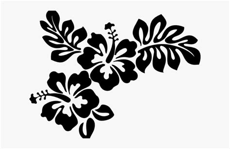 Transparent Background Hawaiian Flower Clipart Black And White - Rectangle Circle
