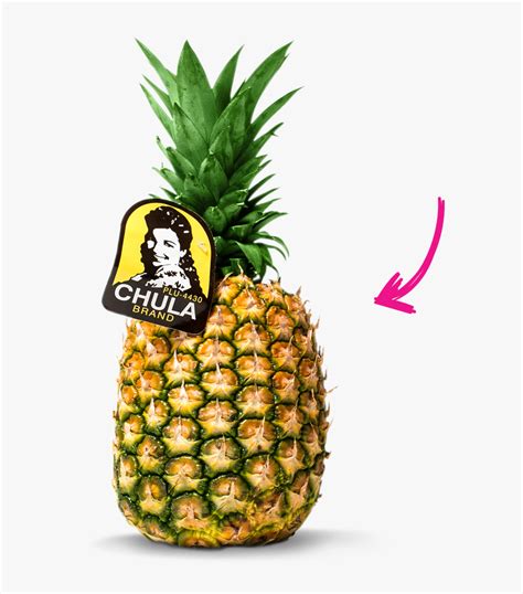 Chula Brand, HD Png Download , Transparent Png Image - PNGitem