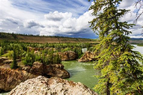 Klondike river stock image. Image of city, green, klondike - 211545117