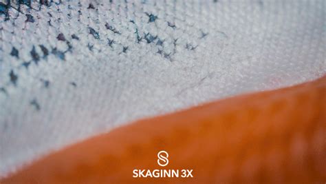 In the pink | Skaginn 3X