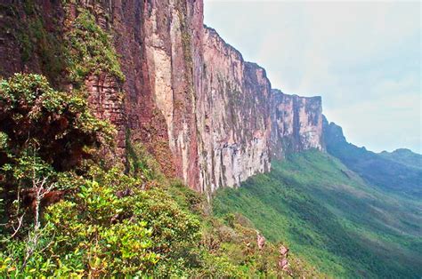 The Gallivant Post » Wandering the World » Snapshot: The Lost World of Mount Roraima