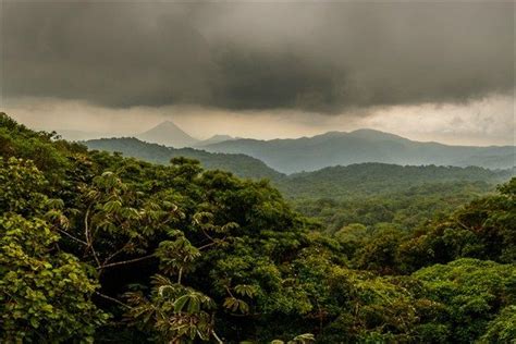 Vulnerable to Climate Change, Costa Rica Works to Become a Carbon-Free Economy "Costa Rica has ...