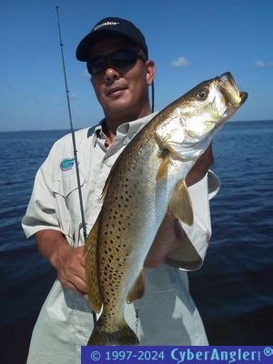 Panama City, FL Offshore and Inshore Fishing Report