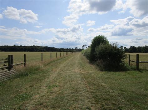 Greensand Ridge Walk near Old Woodbury © Jonathan Thacker :: Geograph Britain and Ireland