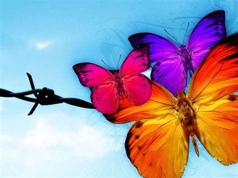 Animated Butterfly Wallpapers - Top Free Animated Butterfly Backgrounds - WallpaperAccess