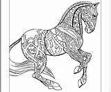 Draft Horse Coloring Pages sketch template