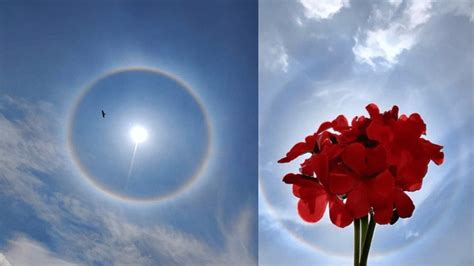 Netizens Post Pictures of Rainbow Halo Spotted Around the Sun