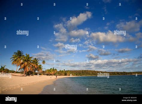 Usa, Caribbean, Puerto Rico, Vieques Island, Sun Bay Beach Stock Photo - Alamy