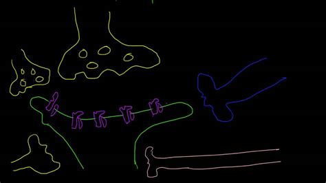 Chemical Synapses and Neuromodulation - YouTube