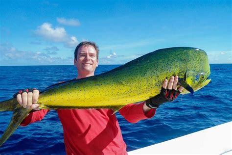 How to Fish for Mahi Mahi: The Complete Guide (Updated 2023)