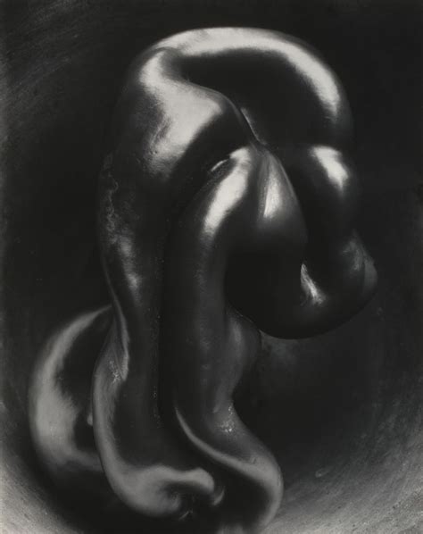 Edward Weston. Pepper. 1930 | MoMA | Edward weston, Straight photography, Weston