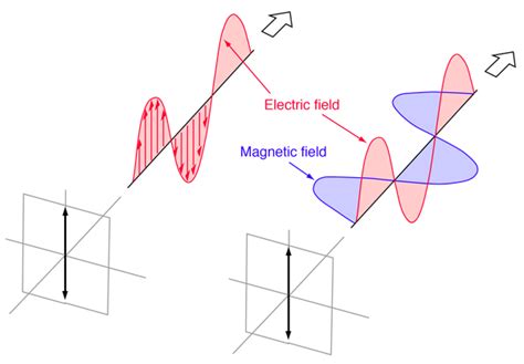 Classification of Polarization