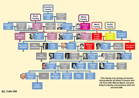 Albert Einstein Family Tree - Image to u